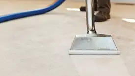 Carpet cleaning wand head gliding over a light carpet during hot-water extraction, Albuquerque, NM.