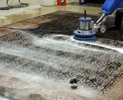 Professional rug cleaning with a rotary floor machine and shampoo foam, deep-cleaning an area rug, in Albuquerque, NM.
