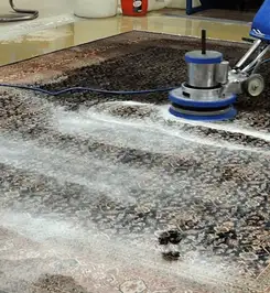 Professional rug cleaning with a rotary floor machine and shampoo foam, deep-cleaning an area rug Albuquerque, NM.